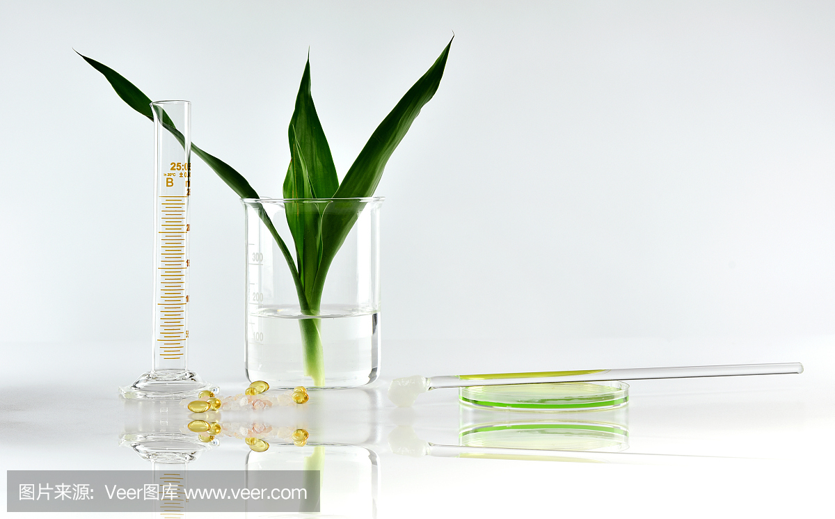天然有机植物和科学玻璃器皿,替代草药,天然护肤美容产品,研发理念。